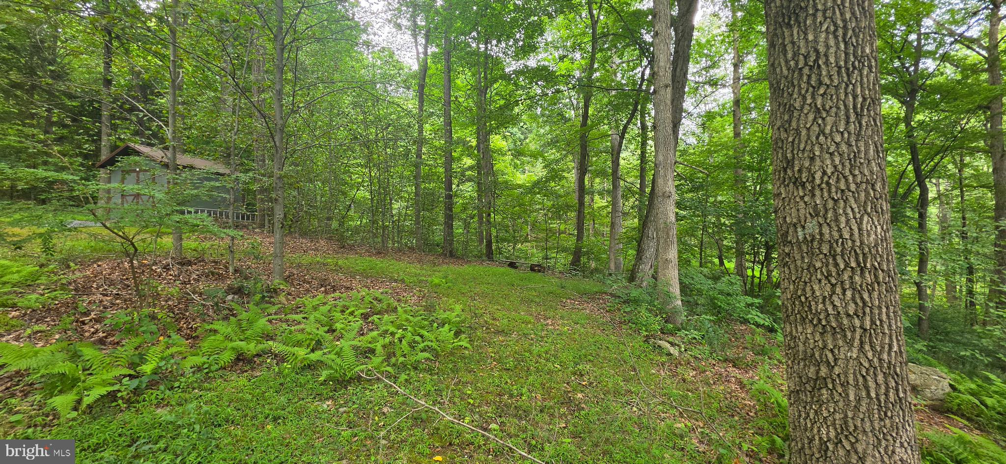 22760 Loop Road Doylesburg, PA 17219 - Photo 34 of 38 Gallery Image 34