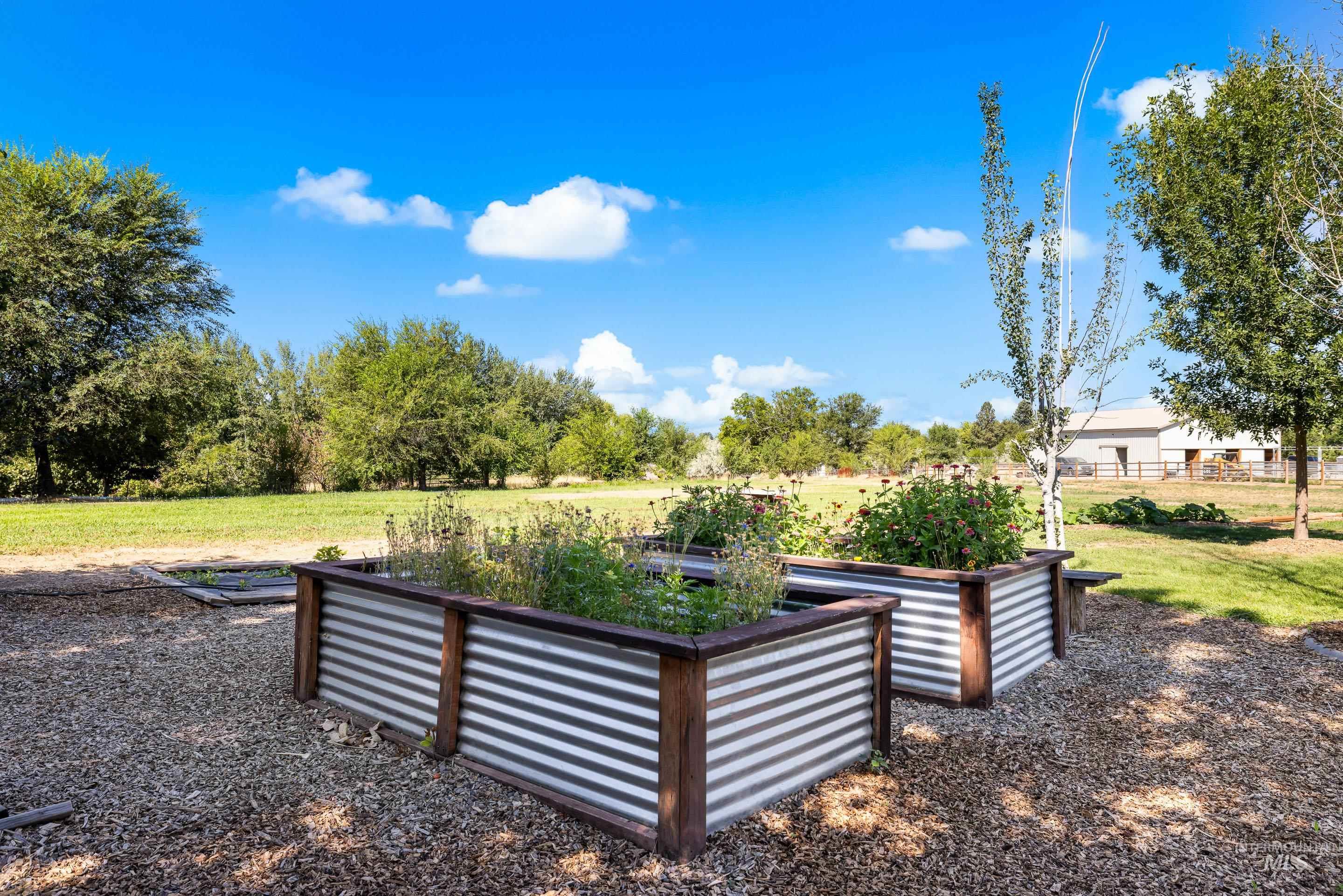 14119 Silver Ridge Road Caldwell, ID 83607 - Photo 47 of 50 View of grassy yard featuring a garden and a patio area