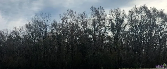 $120,000 | Tbd Main Street, Sorrento, LA 70778