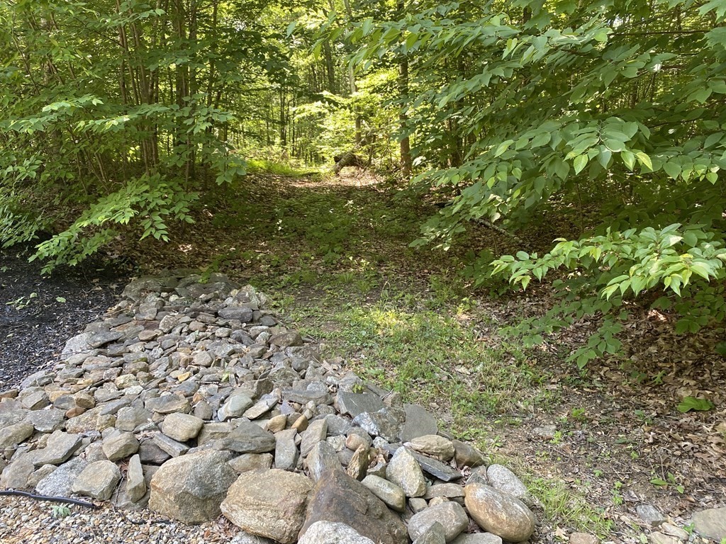 99 Town Farm Road Brookfield, MA 01506 - Photo 1 of 4 a view of a yard