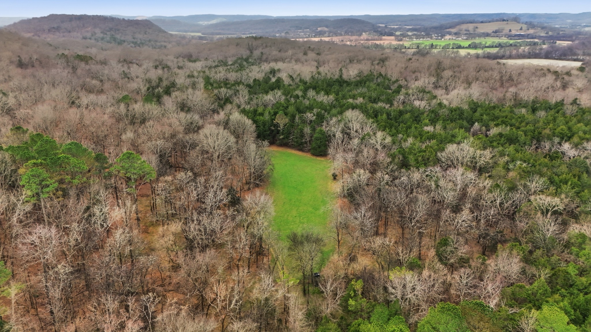 800 Nelson Road Pulaski, TN 38478 - Photo 1 of 33 a view of a lush green forest with trees and some houses
