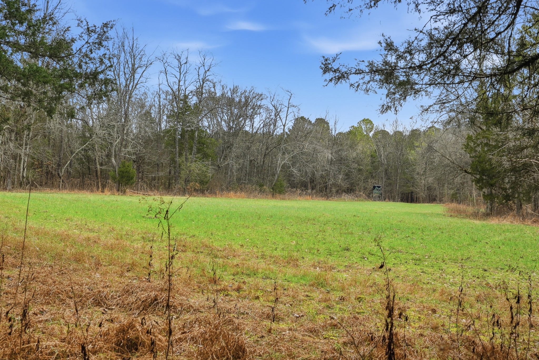 800 Nelson Road Pulaski, TN 38478 - Photo 15 of 33 a view of a garden with a tree
