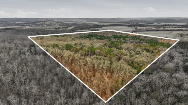 a view of a swimming pool with mountains in the background