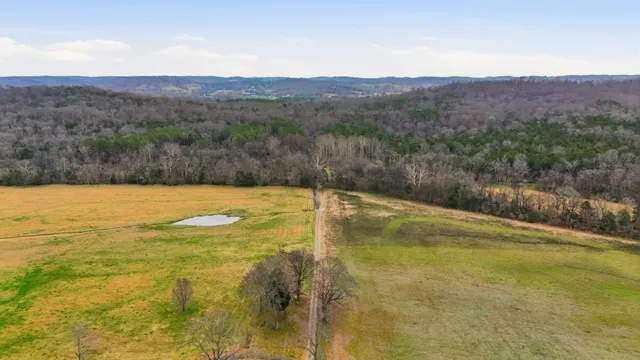 a green field with lots of trees in the background