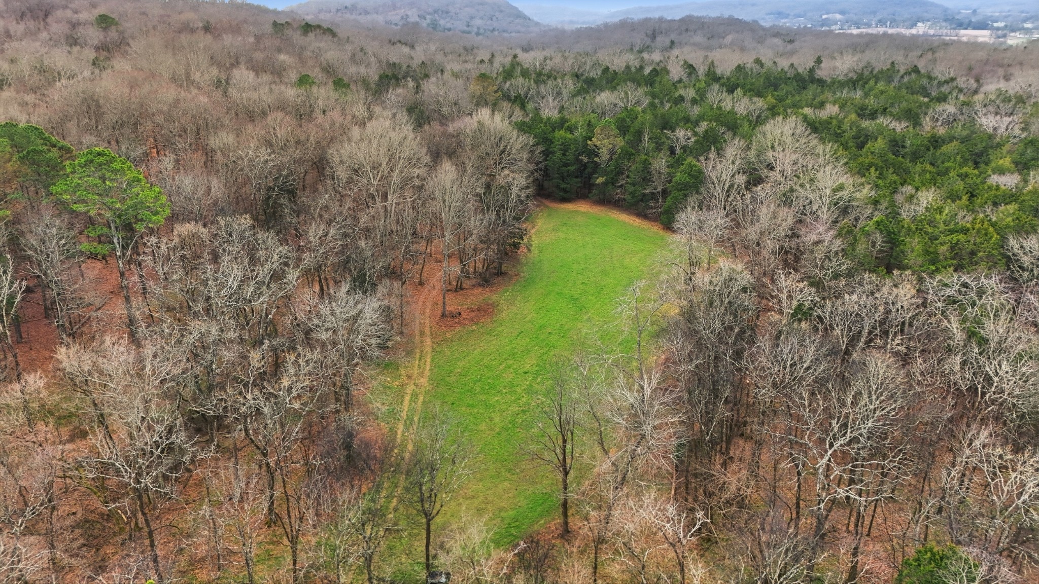 800 Nelson Road Pulaski, TN 38478 - Photo 19 of 33 a green field with lots of trees in the background