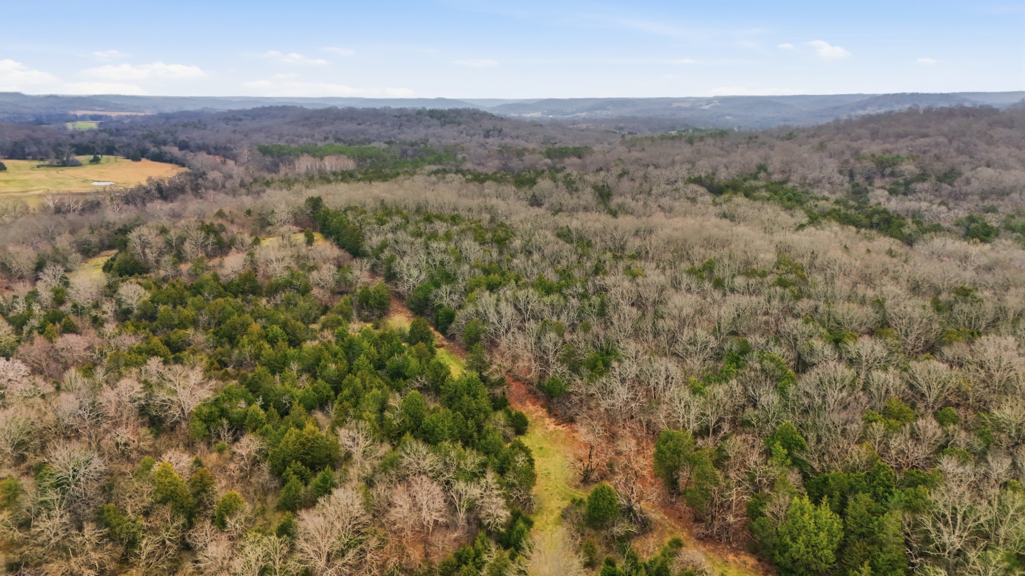 800 Nelson Road Pulaski, TN 38478 - Photo 20 of 33 an aerial view of mountain and tree