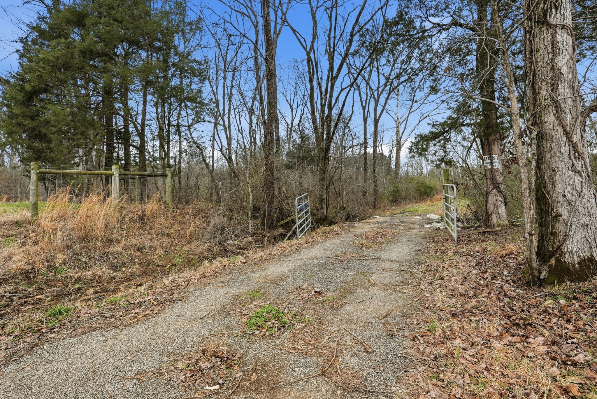 800 Nelson Road Pulaski, TN 38478 - Photo 2 of 33 a backyard of a house with lots of green space