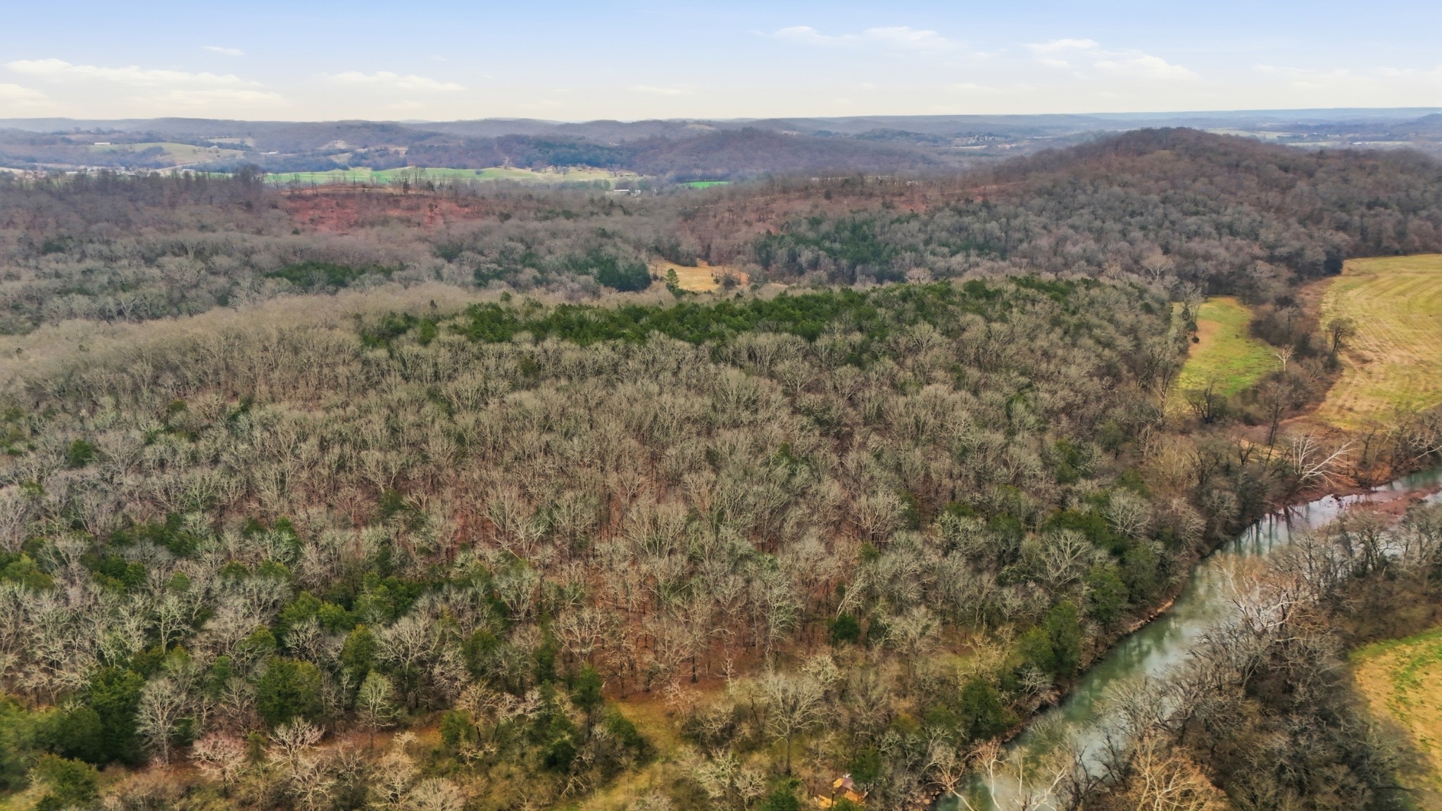 800 Nelson Road Pulaski, TN 38478 - Photo 22 of 33 a view of a lush green field with mountains in the background