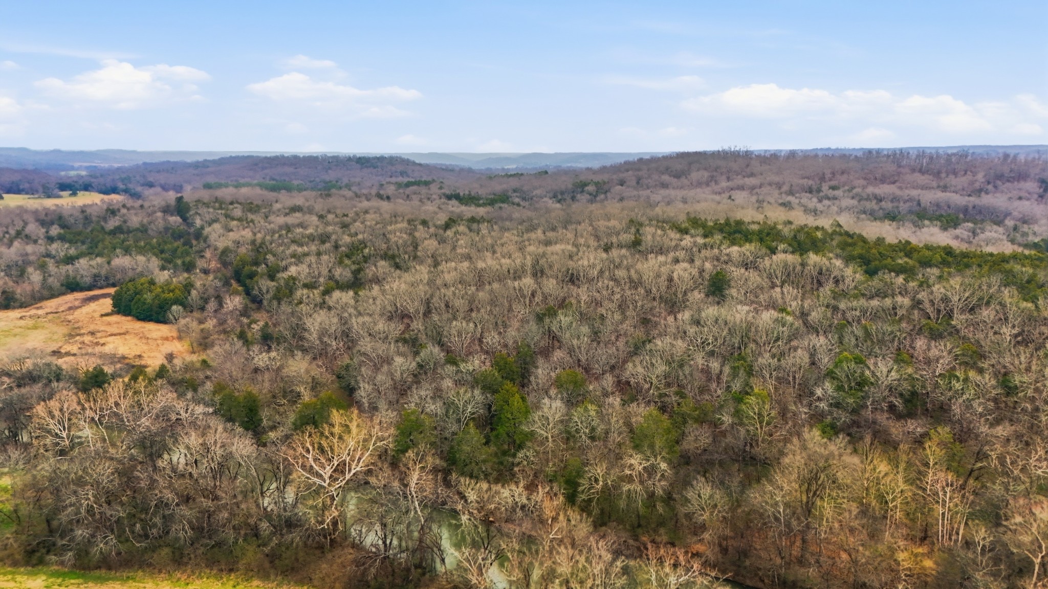 800 Nelson Road Pulaski, TN 38478 - Photo 23 of 33 a view of a city with lush green forest