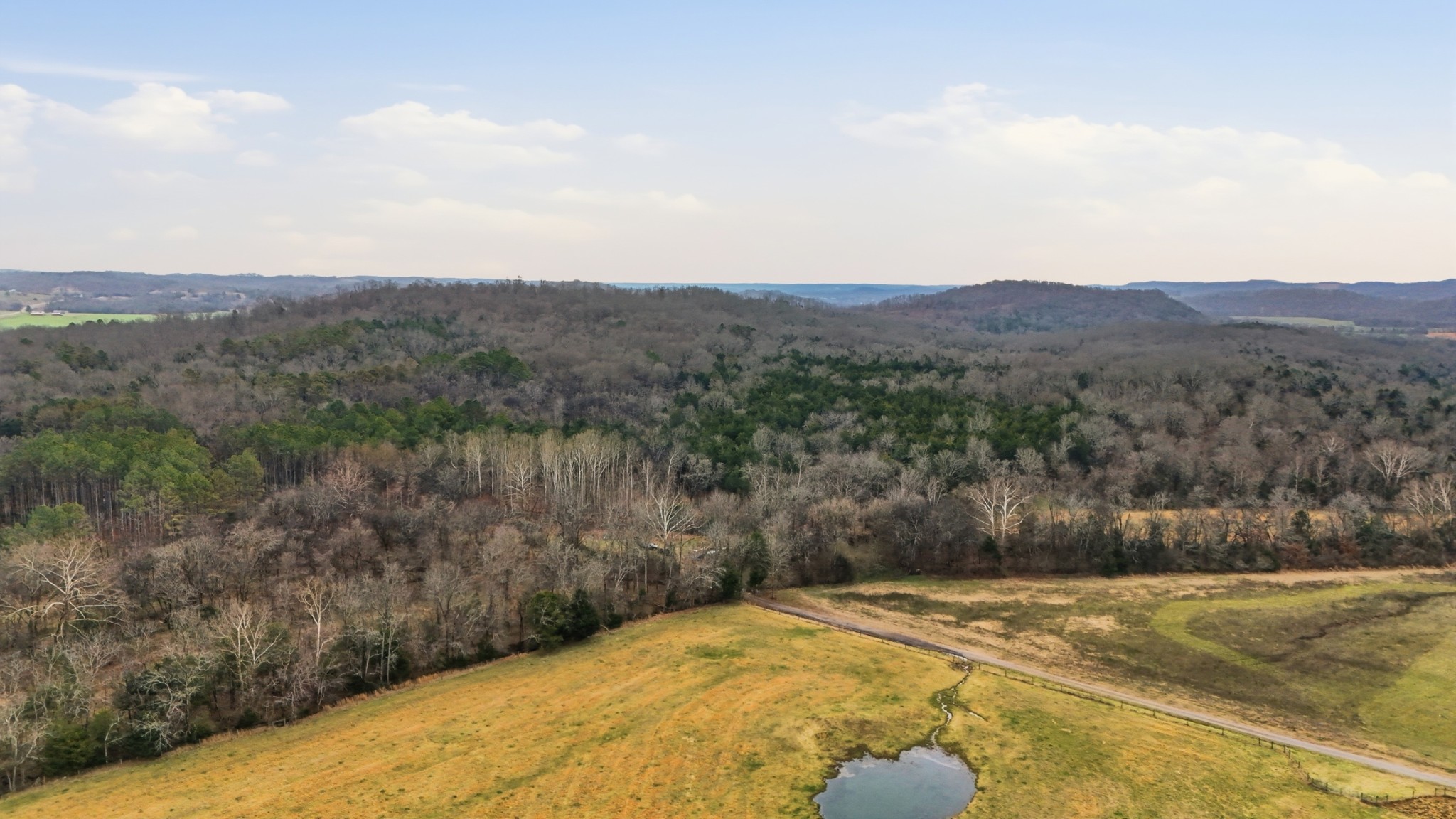 800 Nelson Road Pulaski, TN 38478 - Photo 25 of 33 a view of a backyard
