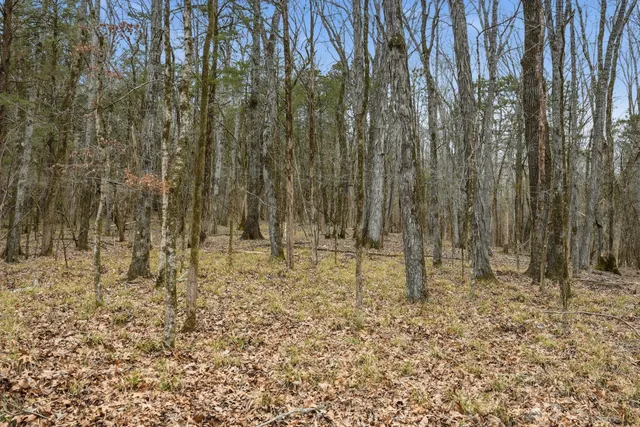 a view of a backyard of the house