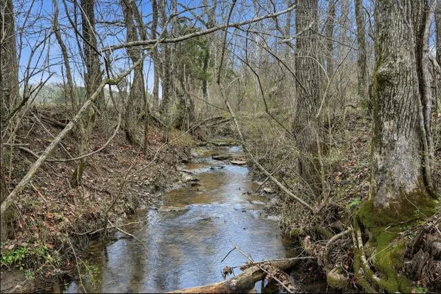 a view of a yard of a house