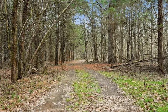 a view of backyard space