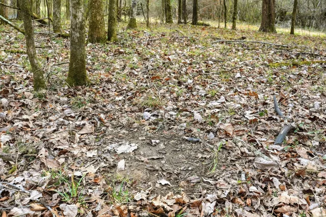 a view of outdoor space with trees all around