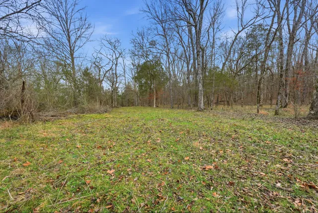 a view of a plant in front of a house