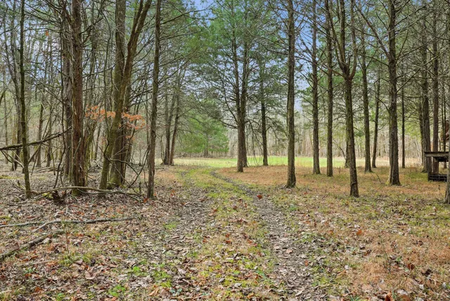 a view of outdoor space with trees