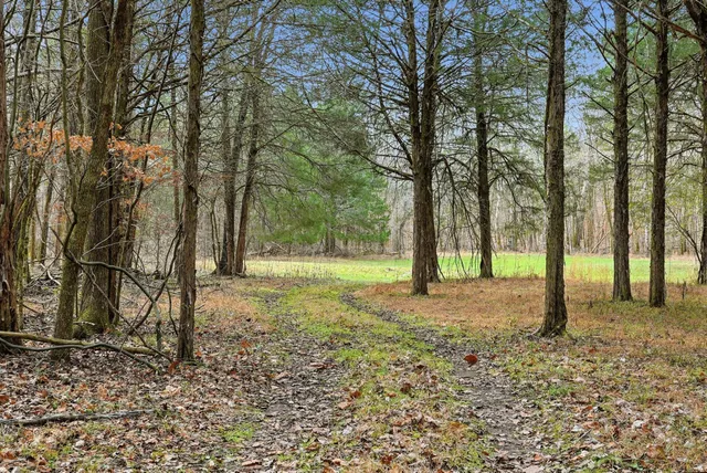 a backyard of a house with lots of green space