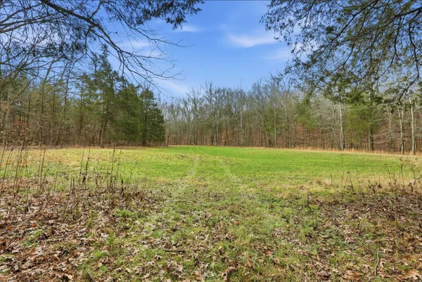 a view of a field with trees in the background