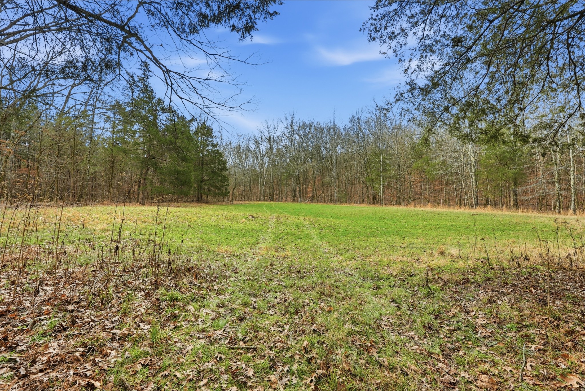 800 Nelson Road Pulaski, TN 38478 - Photo 7 of 33 a view of a field with trees in the background