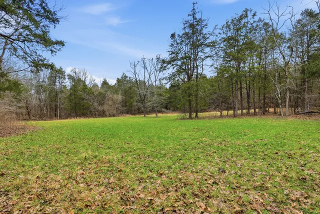a view of yard with green space
