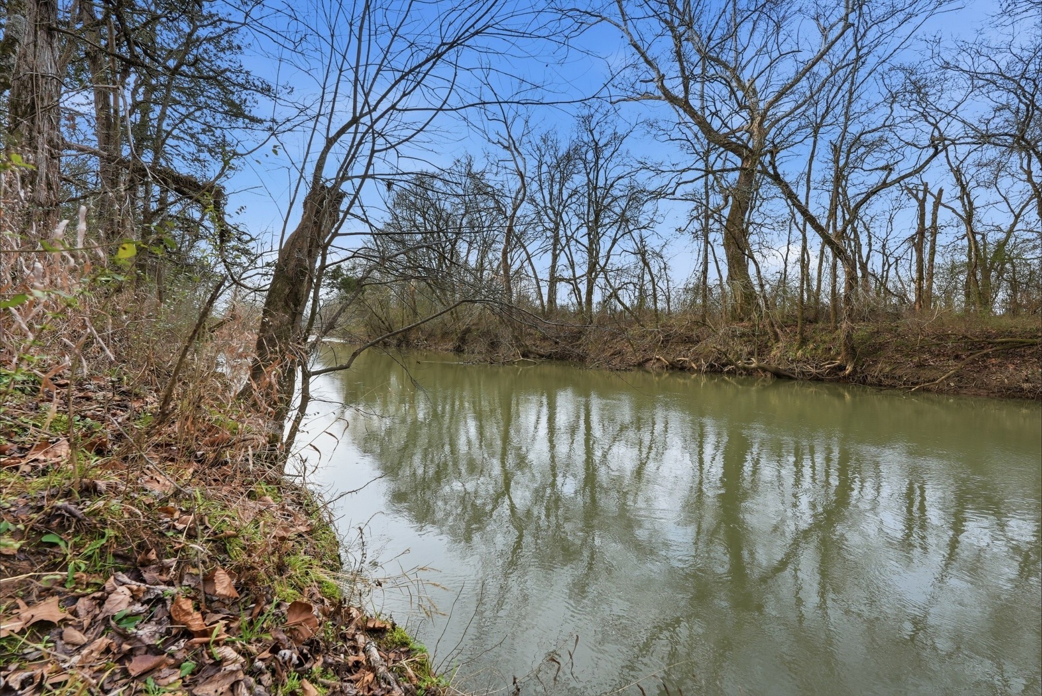 800 Nelson Road Pulaski, TN 38478 - Photo 10 of 33 a lake view