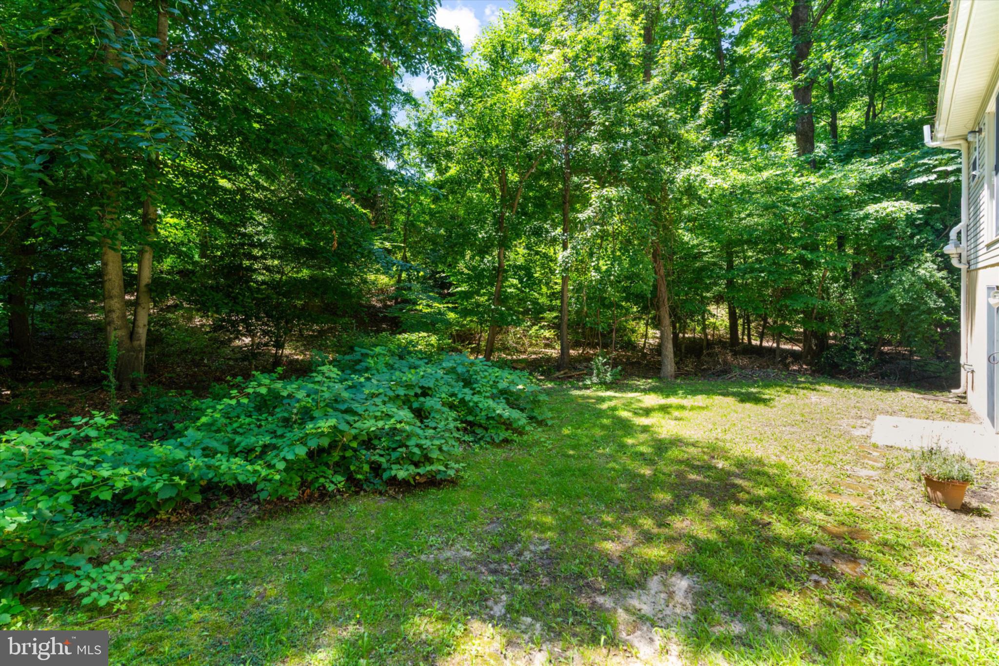 11500 Big Sandy Run Road Lusby, MD 20657 - Photo 40 of 57 Serene woodland retreat awaits you.