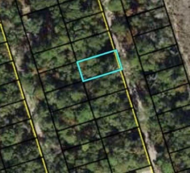 Xx Iroquois Road Crawfordville, FL 32327 - Photo 9 of 14