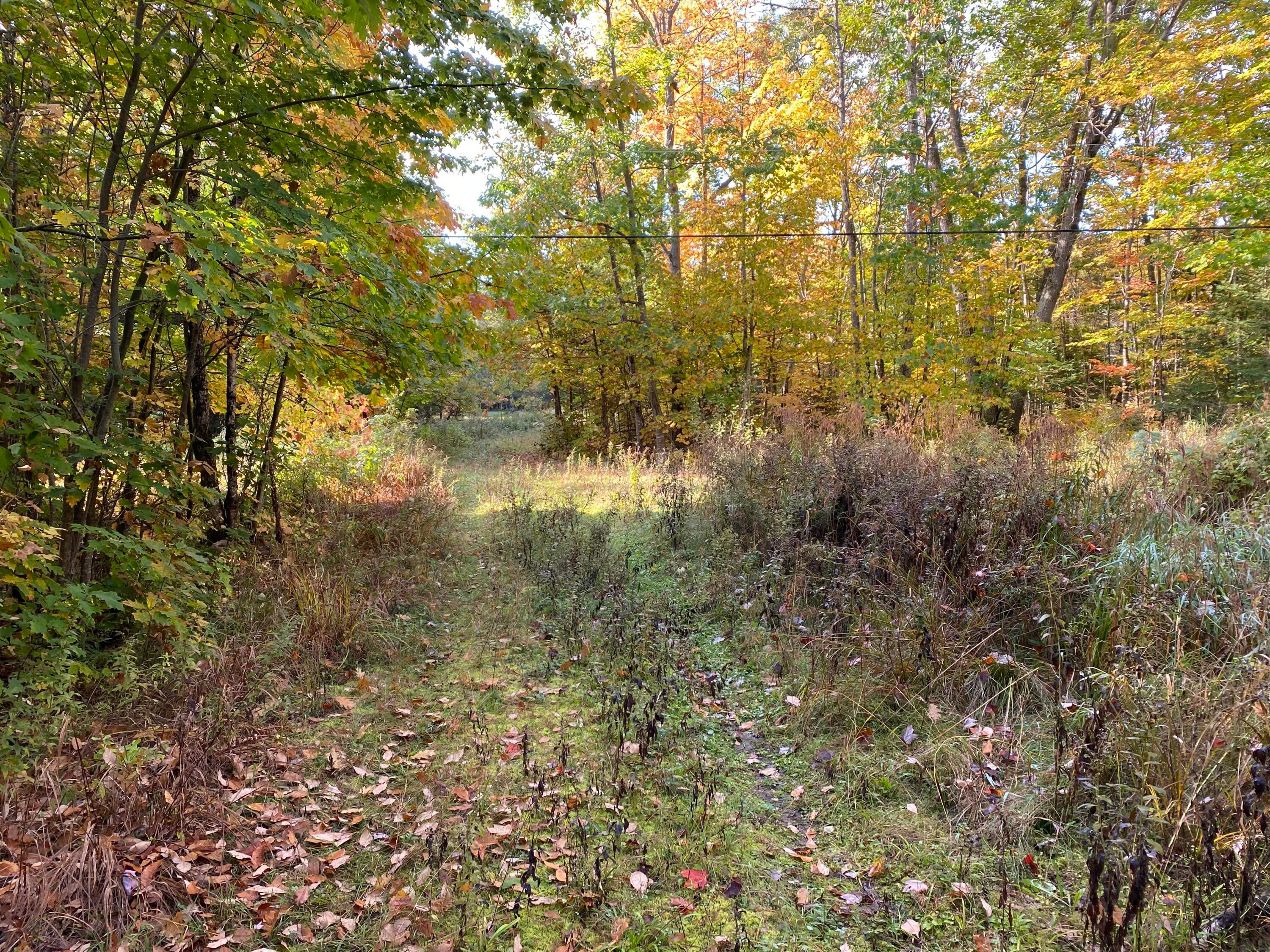 11327 South Homestead Road Sault Ste. Marie, MI 49783 - Photo 7 of 10 Gallery Image 7