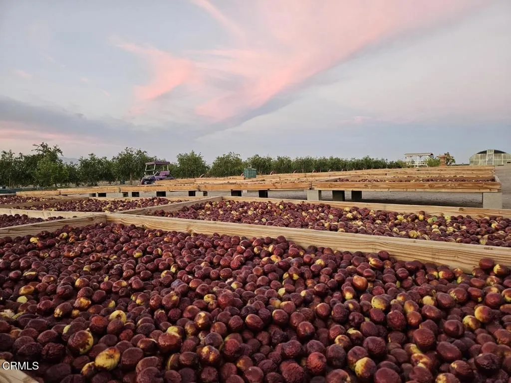 9125 Mesa Road Lucerne Valley, CA 92356 - Photo 54 of 55