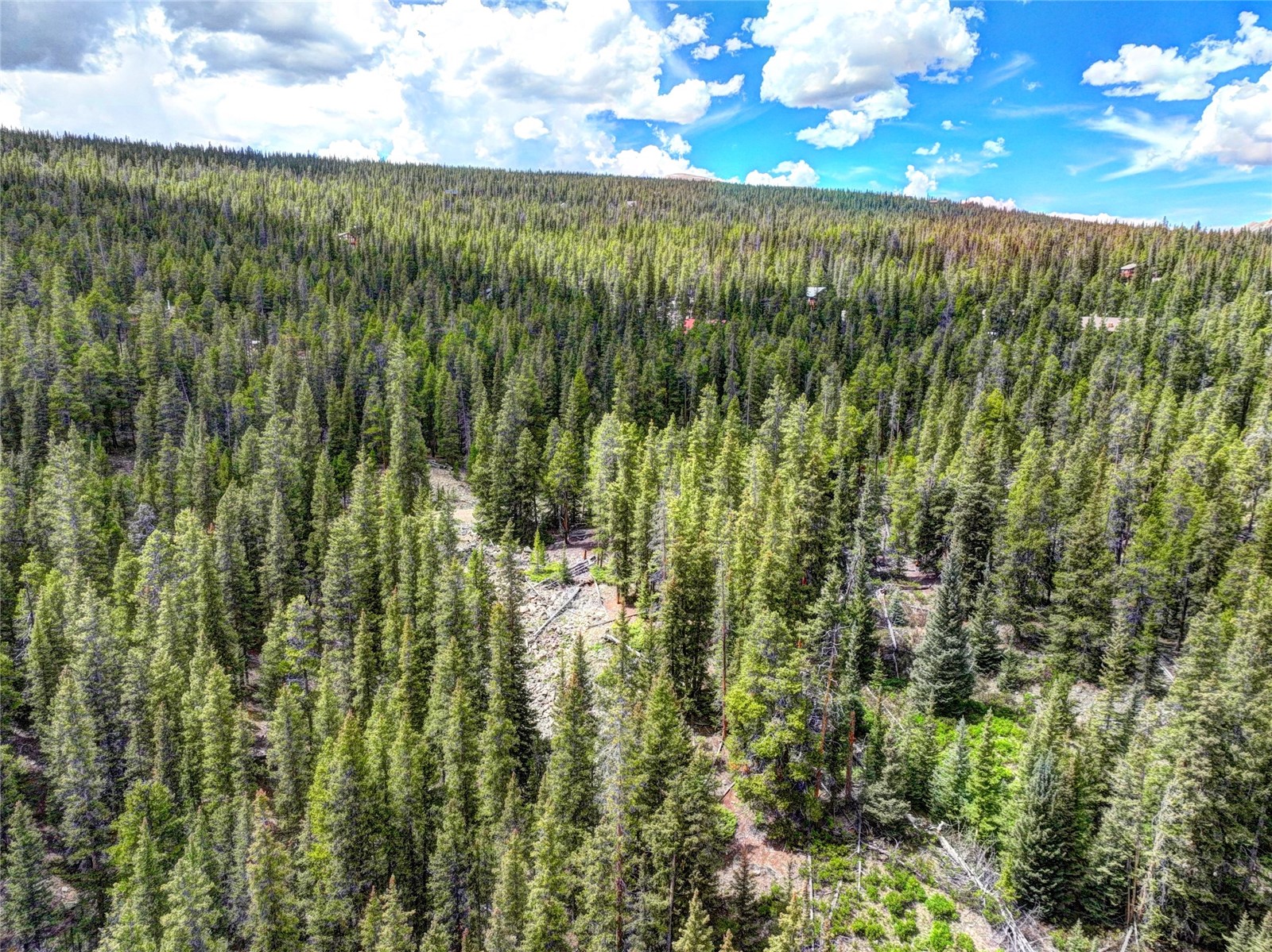 0 Dry Gulch Road Fairplay, CO 80440 - Photo 22 of 28 Gallery Image 22