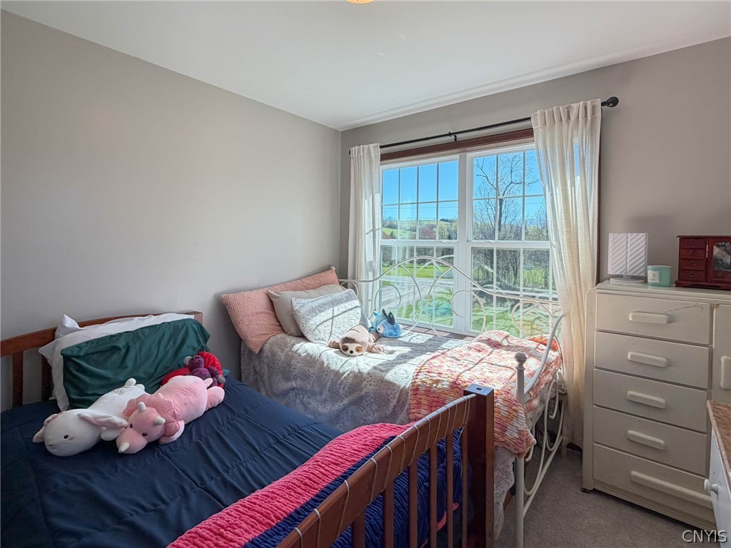 187 Case Road Litchfield, NY 13322 - Photo 33 of 43
