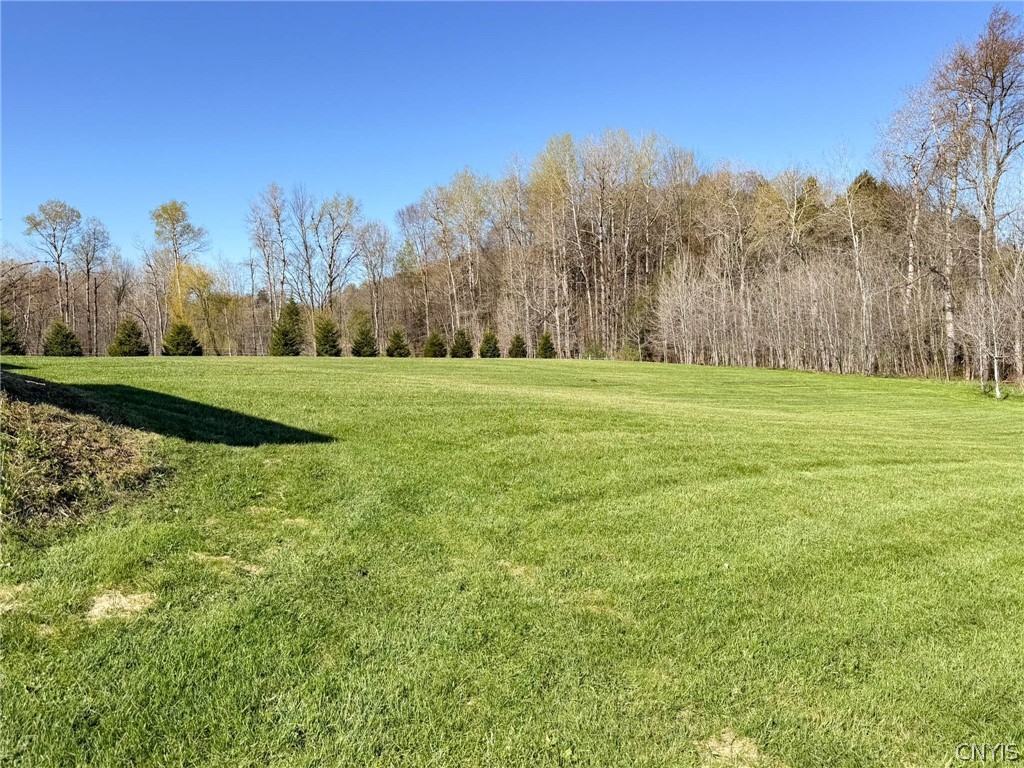 187 Case Road Litchfield, NY 13322 - Photo 4 of 43