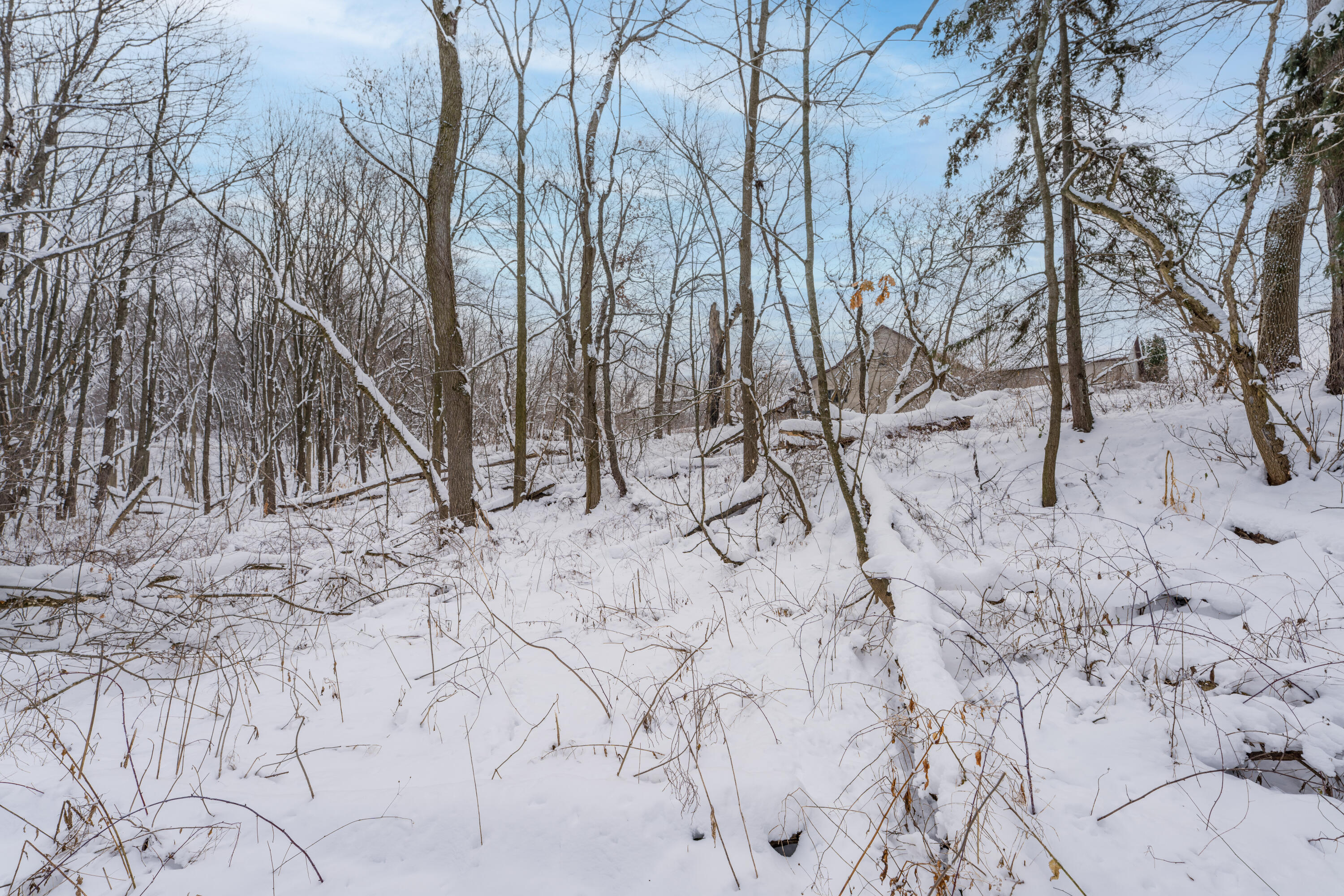 12344 Warner Road Plainwell, MI 49080 - Photo 45 of 46 DSC00490-Edit