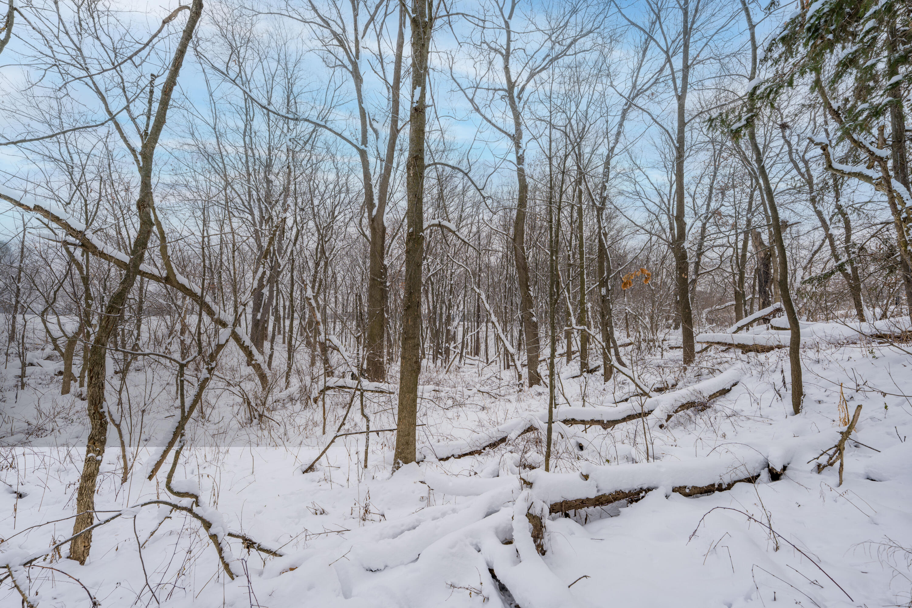 12344 Warner Road Plainwell, MI 49080 - Photo 46 of 46 DSC00489-Edit