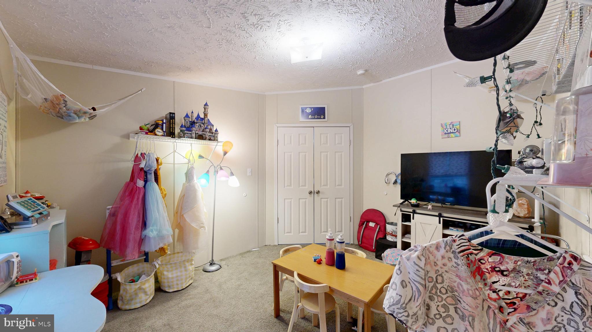 22901 Camp Arrowhead Road Lewes, DE 19958 - Photo 29 of 39 a room with furniture and a flat screen tv