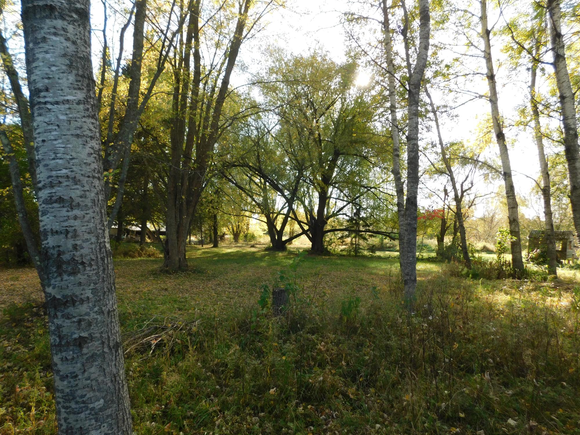 N429 Cth X Merrill, WI 54452 - Photo 24 of 26 Gallery Image 24