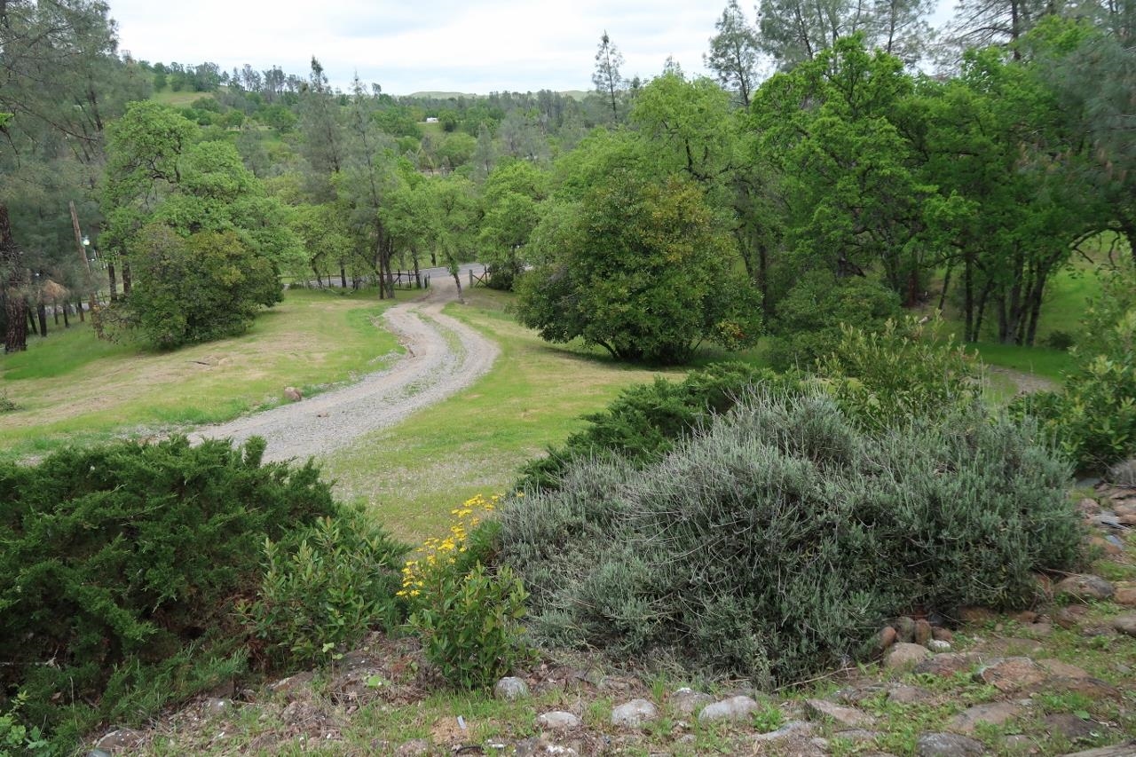 15815 Rancho Tehama Road Corning, CA 96021 - Photo 42 of 42