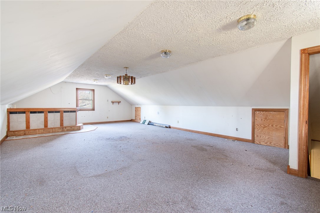 6038 Tippecanoe Road Canfield, OH 44406 - Photo 33 of 34 Additional living space with light carpet, vaulted ceiling, and a textured ceiling