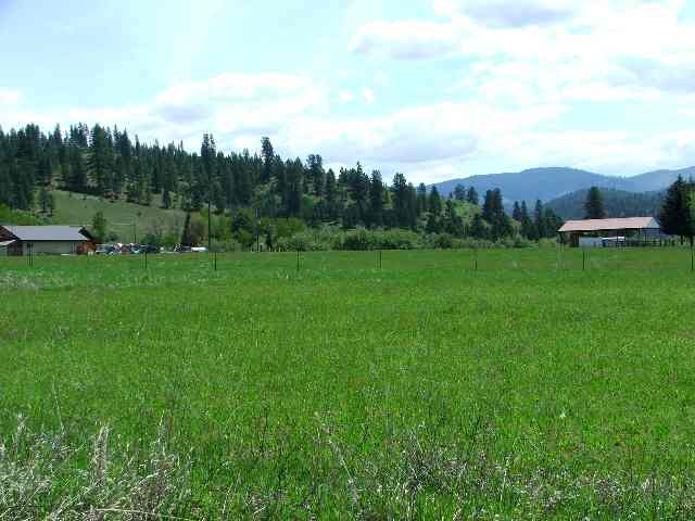 Tbd Schoolhouse Gulch Road Garden Valley, ID 83622 - Photo 1 of 1