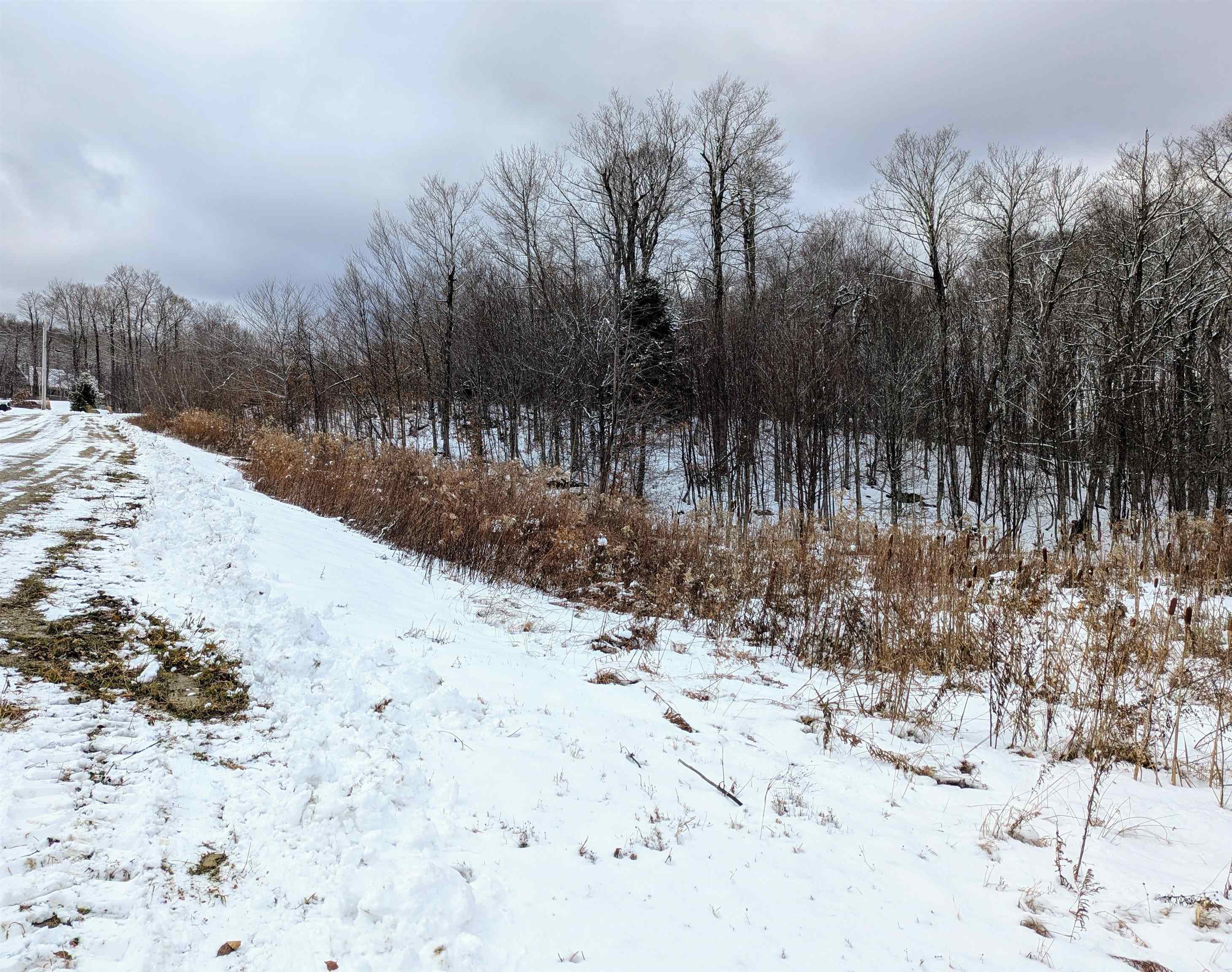 41 Moose Hollow Road Winhall, VT 05340 - Photo 7 of 12