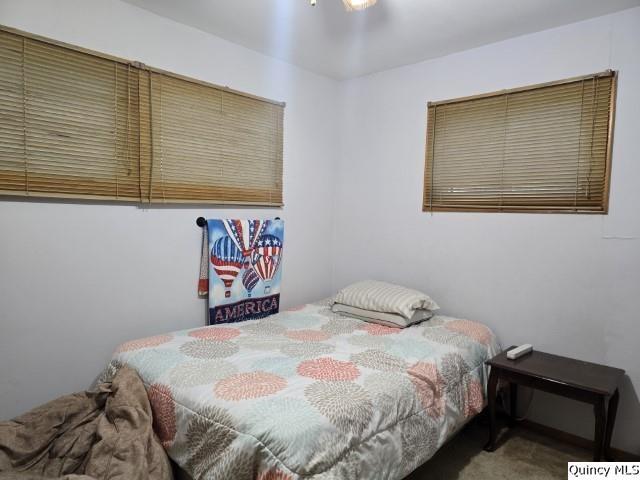 710 Country Lane Carthage, IL 62321 - Photo 11 of 31 a bedroom with a bed and painting on the wall