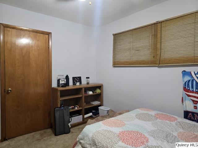 710 Country Lane Carthage, IL 62321 - Photo 12 of 31 a bedroom with a bed and cabinets