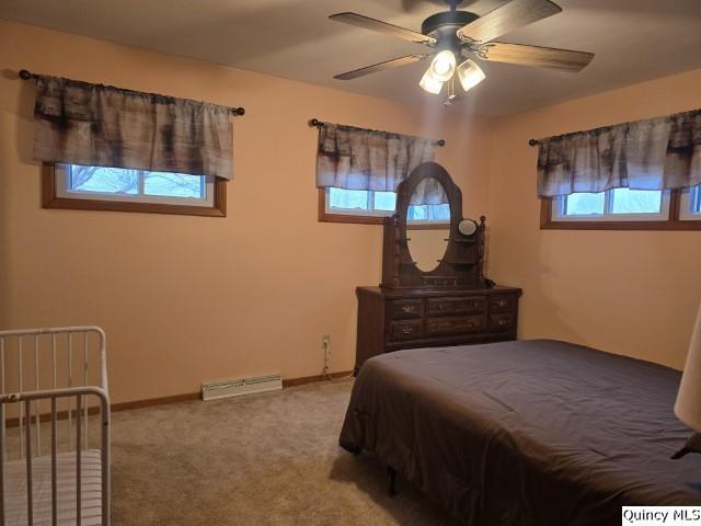 710 Country Lane Carthage, IL 62321 - Photo 15 of 31 a bedroom with a bed and a painting on the wall