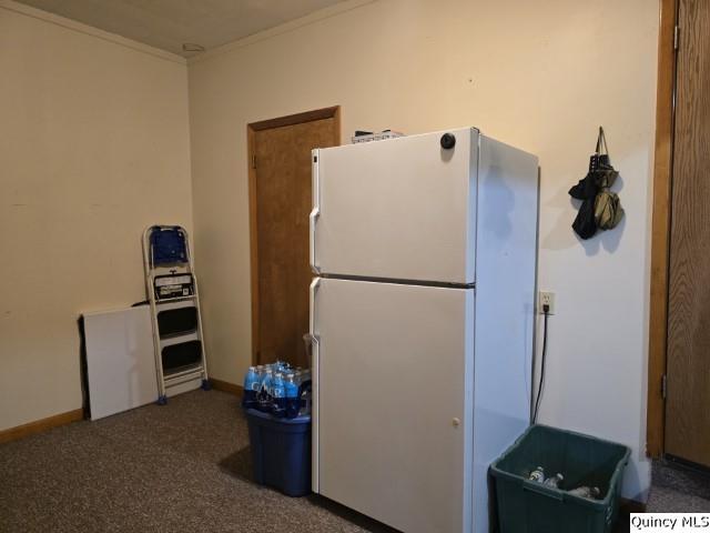 710 Country Lane Carthage, IL 62321 - Photo 21 of 31 a kitchen with a refrigerator and cabinets