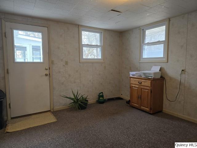 710 Country Lane Carthage, IL 62321 - Photo 23 of 31 a room with storage and utility