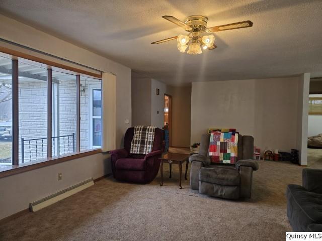 710 Country Lane Carthage, IL 62321 - Photo 6 of 31 a living room with furniture and a flat screen tv