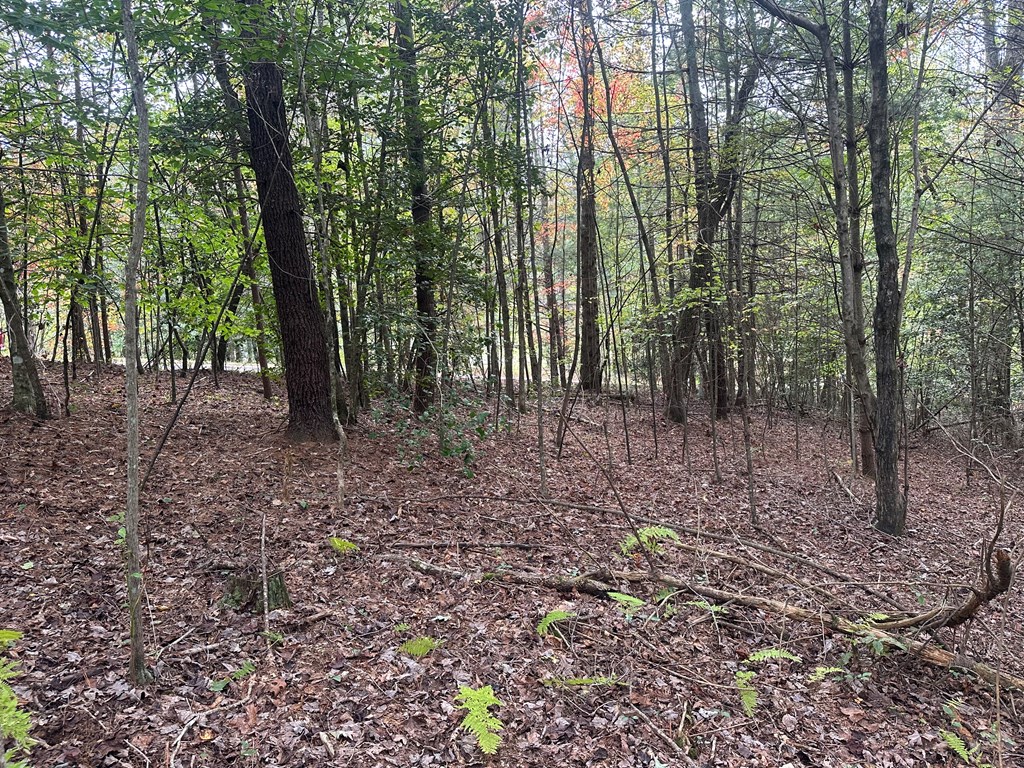 Lot 14 Pine Grove Drive Blue Ridge, GA 30513 - Photo 8 of 9