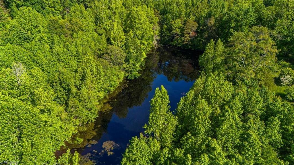 8305 Meadows Road Oak Ridge, NC 27310 - Photo 10 of 10