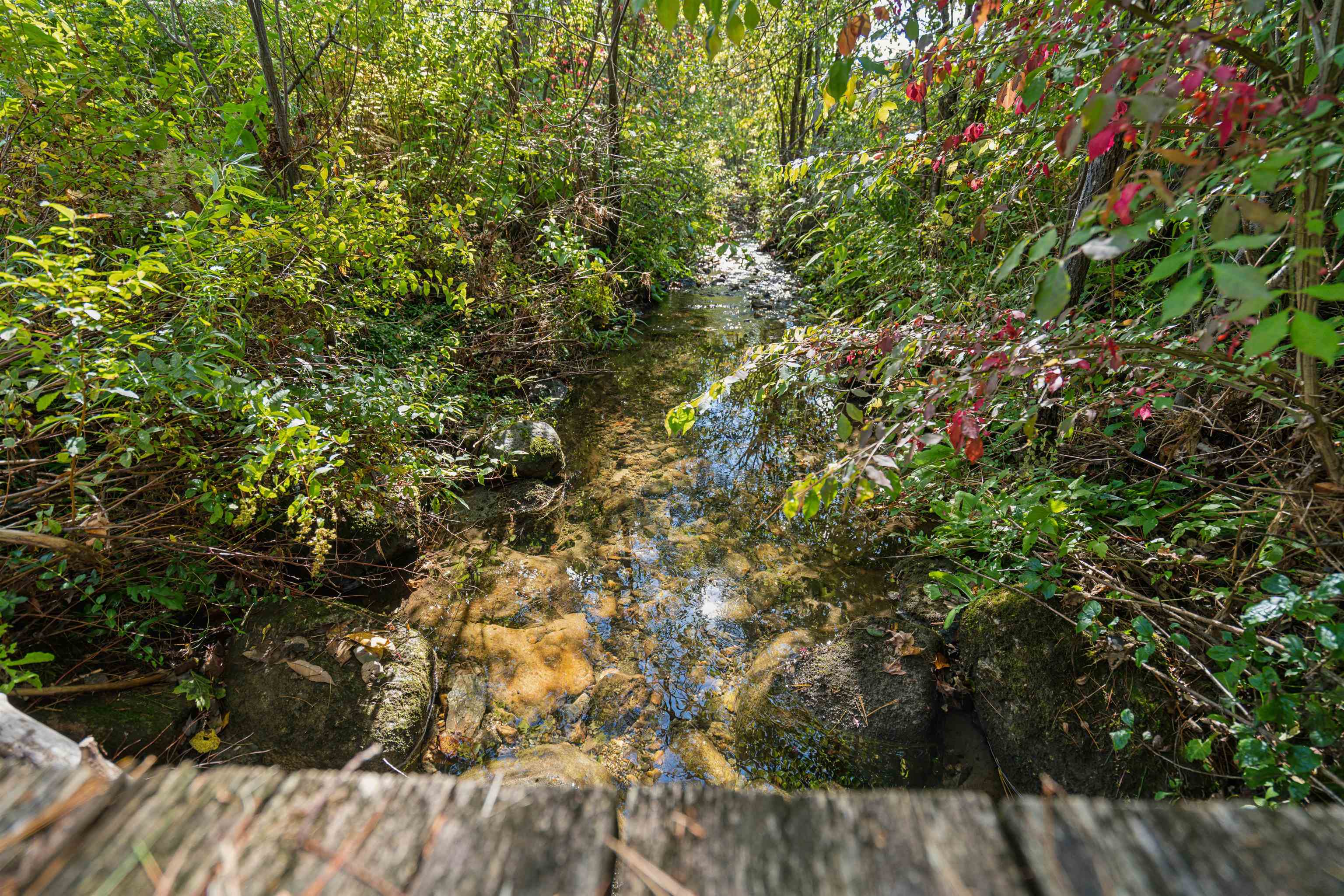 1815 Blood Brook Road Fairlee, VT 05045 - Photo 60 of 60
