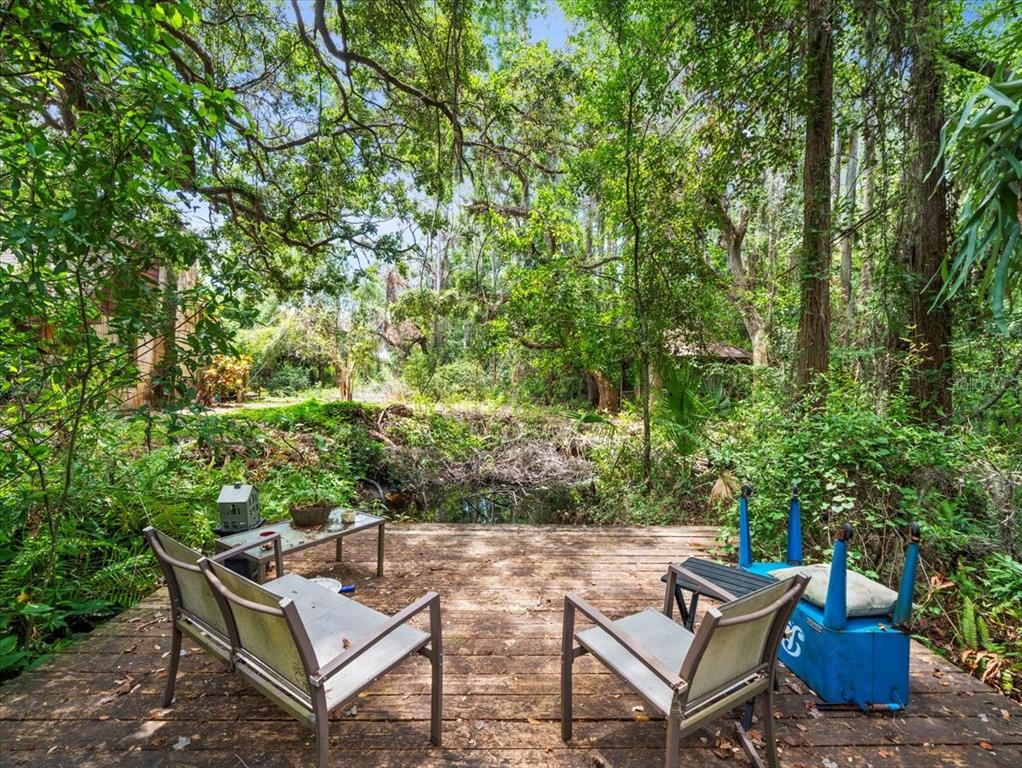 16035 Chastain Road Odessa, FL 33556 - Photo 12 of 31 a view of a backyard with sitting area